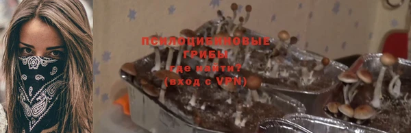 бошки Бугульма