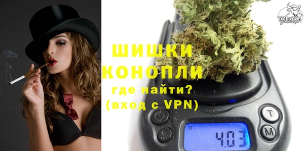 PSILOCYBIN Бронницы