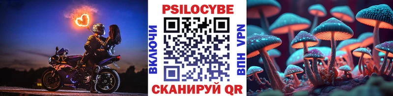 Галлюциногенные грибы Cubensis  маркетплейс формула  Юрга 